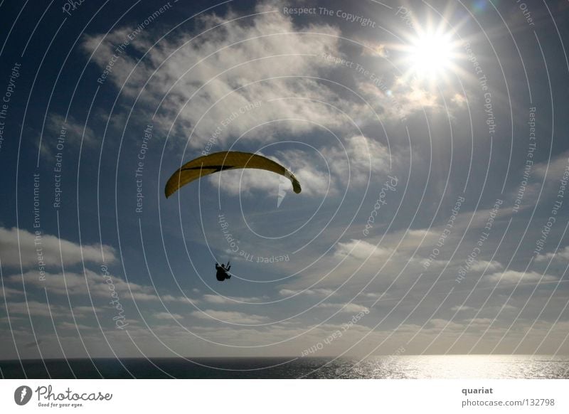 freedom Summer Paragliding Extreme sports Denmark Sports Freedom Happy Sun Joy