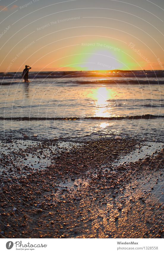 Sunset at the Atlantic Ocean Far-off places Freedom Summer vacation Beach Waves Swimming & Bathing Surfing Human being 1 18 - 30 years Youth (Young adults)