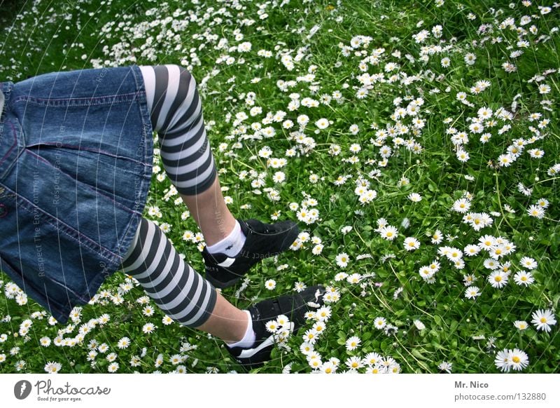 grasshopper Girl Footwear Daisy Meadow Denim skirt Striped Summery Flower Blossom Jump Hop Going Tread White Green Yellow Gymnastics Spring Child Joy