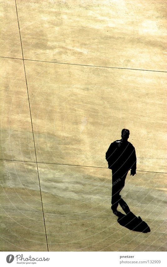 Walk The Line Gray Asphalt Man Going Black White Yellow Bird Gloomy Simple Square Traffic infrastructure Modern Smoothness Walking Loneliness Shadow Perspective