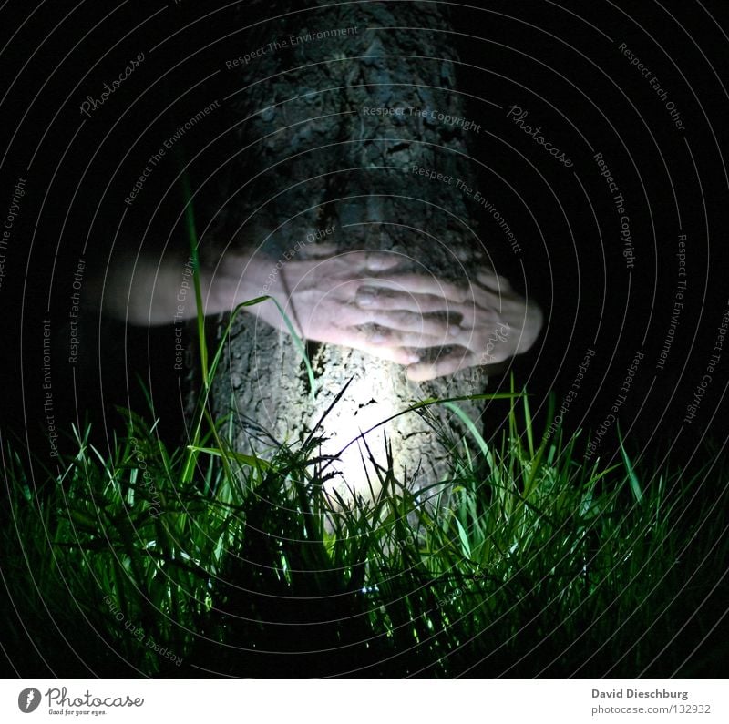 Tree with life Hand Light Grass Meadow Life Tree bark Night Long exposure Lamp Fingers Transparent Friendship Dark Black Green Creepy Horror film Summer Power