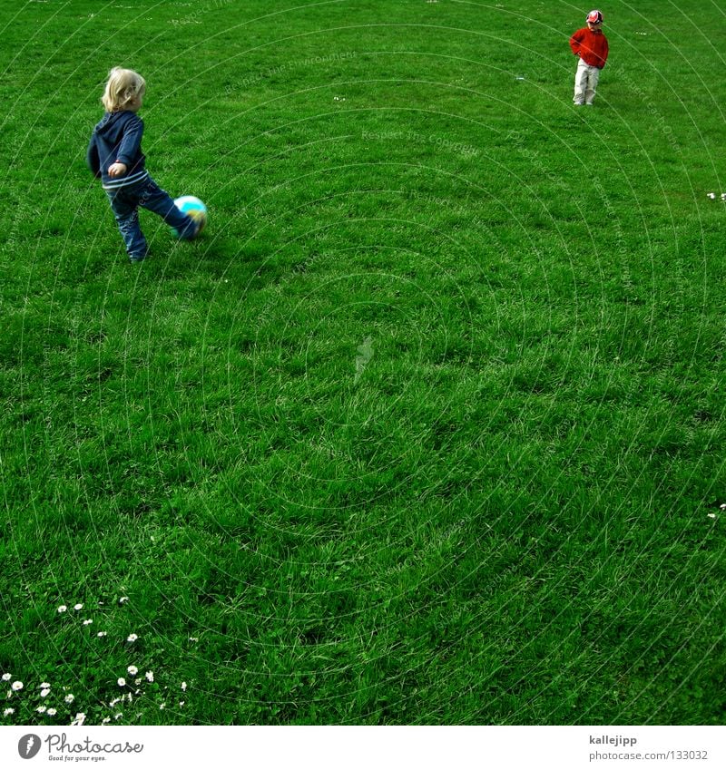 Hertha : VfB Kick Sporting event National league Soccer Child Leisure and hobbies World Cup Boy (child) Playing 2 Green Hertha BSC Stuttgart Daisy Mole