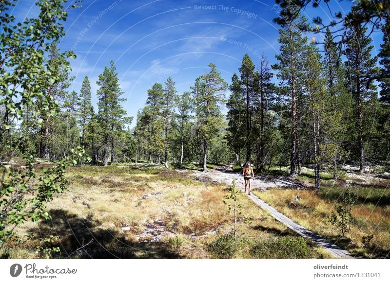 Norway - Rondane Vacation & Travel Trip Adventure Far-off places Freedom Expedition Camping Summer Summer vacation Hiking Feminine 1 Human being 18 - 30 years