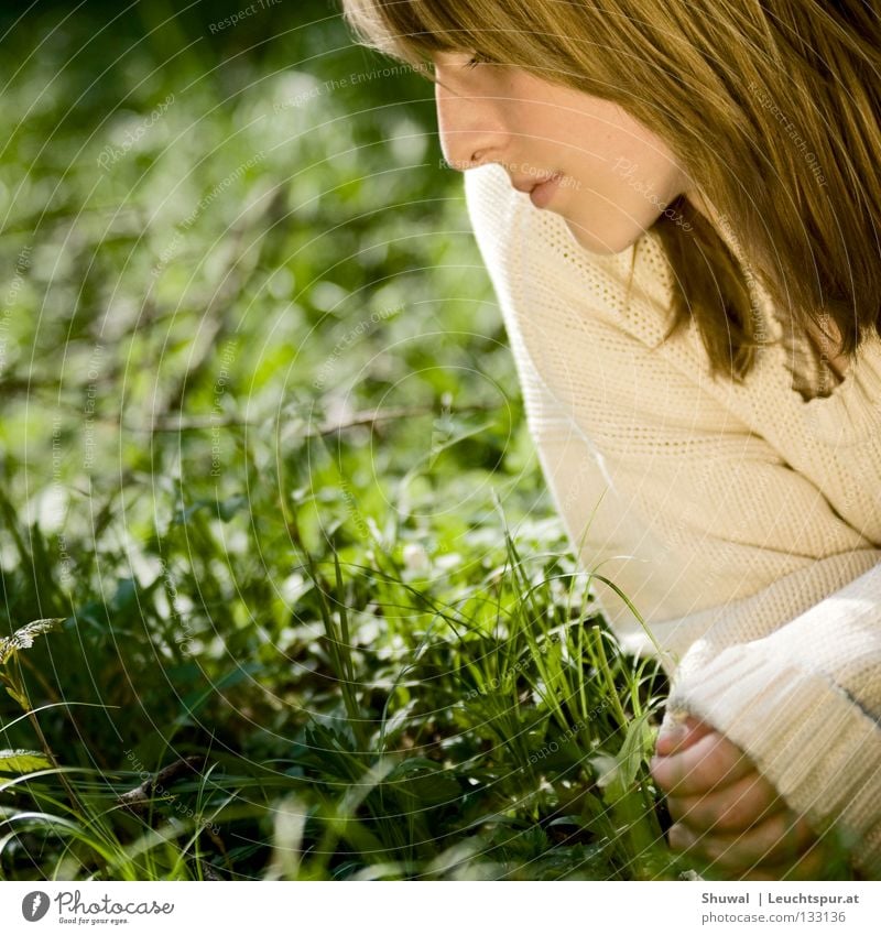 newness Portrait photograph Meadow Grass Blade of grass Lips Blonde Woman Youth (Young adults) Beautiful Trust Hope Lovely Delicate Fine Feminine Playing Dream