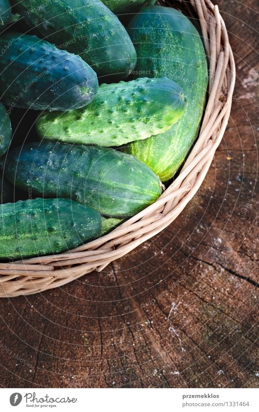 Cucumbers in the wicker basket Food Vegetable Healthy Healthy Eating Summer Garden Fresh Natural Green Basket Copy Space cucumber field Organic Rustic Seasons