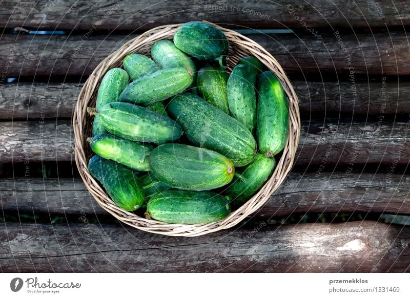 Cucumbers in the wicker basket Food Vegetable Healthy Healthy Eating Summer Garden Fresh Natural Green Basket cucumber field Horizontal Organic Rustic Seasons