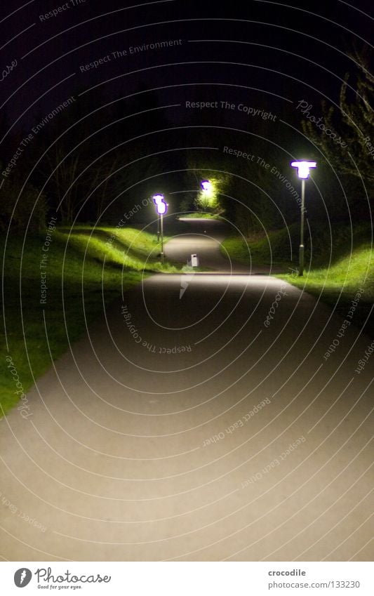 way home Night Going Lantern Dark Tree Meadow Grass Lighting Eerie Dangerous Sky Evening Lanes & trails star Twilight Bright