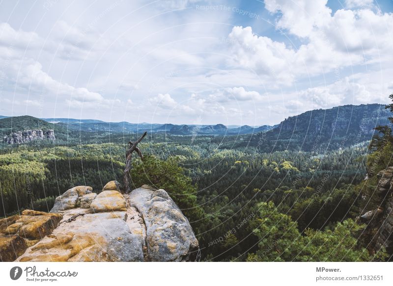 notall (s)schlechtimosten! Environment Nature Landscape Elements Clouds Beautiful weather Tree Infinity Saxon Switzerland Virgin forest Nature reserve