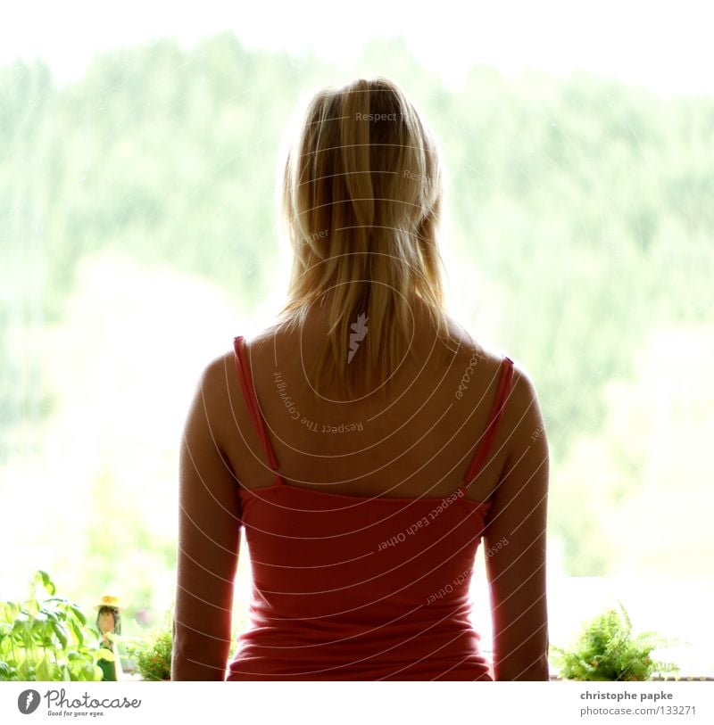 The window to the summer Beautiful Hair and hairstyles Relaxation Summer Woman Adults Back Nature Plant Warmth Window Blonde Think Discover Hot Curiosity