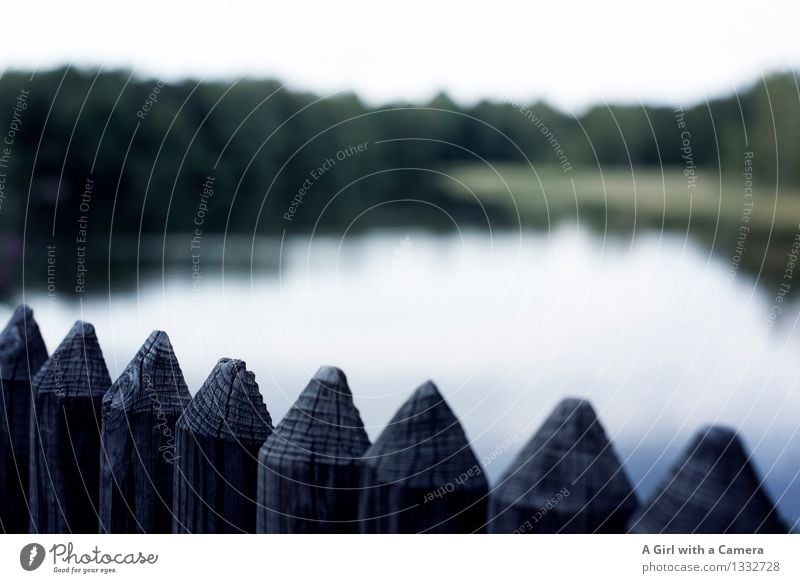 Along the fence Environment Nature Landscape Summer Autumn Lakeside Dark Calm Resting point Wooden fence Wooden board Water Body of water Rhön Subdued colour