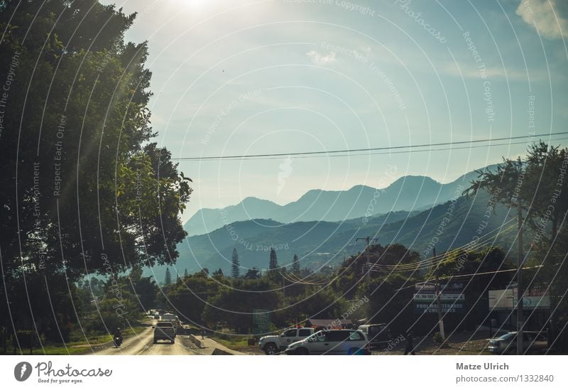 Mexican Mountains Plant Sky Clouds Sun Beautiful weather Warmth Tree Hill Street Calm Adventure Mexico Country road Plain Forest Colour photo Exterior shot