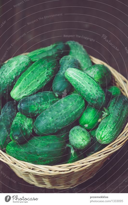 Cucumbers in the wicker basket Vegetable Healthy Eating Summer Garden Fresh Natural Green Basket Copy Space cucumber food Organic Rustic Vertical wood wooden