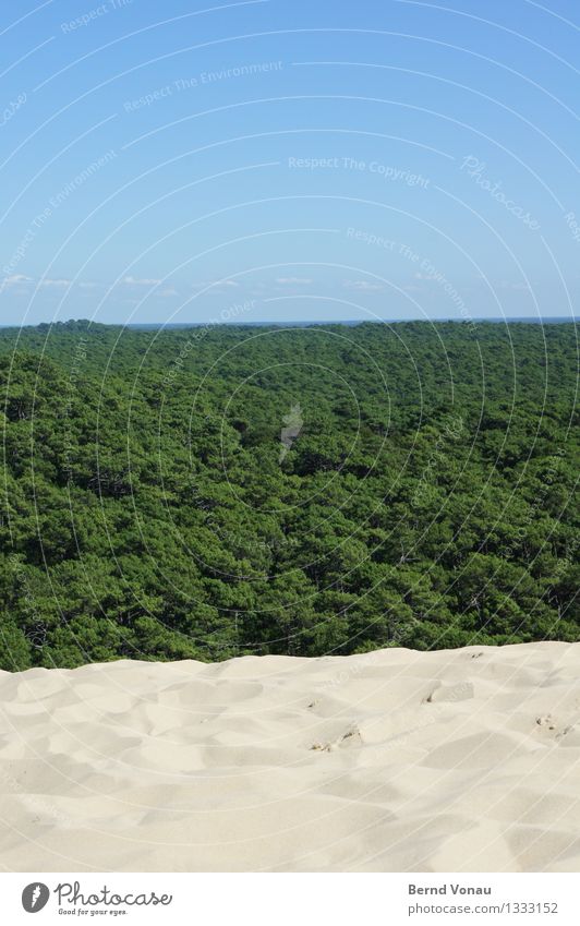 tricolour Environment Nature Landscape Plant Sand Sky Clouds Sun Summer Climate change Tree Forest Hill Coast Desert Bright Dune Takeover Antagonism Horizon