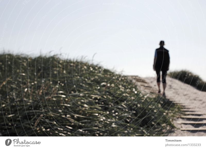 Up there. Vacation & Travel Feminine Woman Adults 1 Human being Environment Nature Sand Sky Beautiful weather Beach dune Marram grass Denmark Going Looking