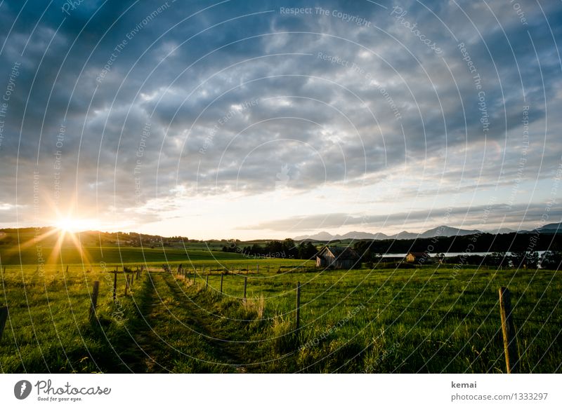 summer sunrise Vacation & Travel Adventure Hiking Environment Nature Landscape Plant Sky Clouds Sun Sunrise Sunset Sunlight Summer Beautiful weather Meadow