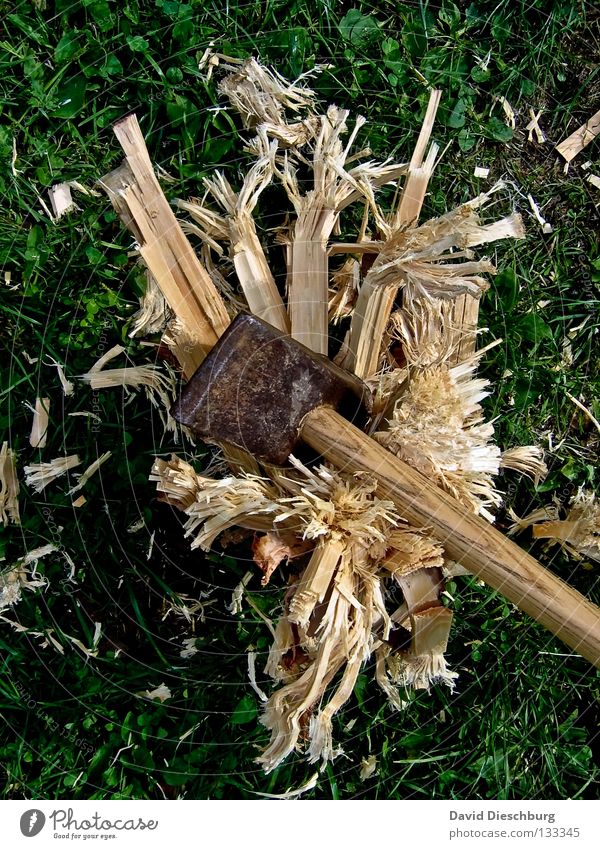 destructiveness Anger Wood Broken Meadow Reaction Beat Green Yellow Brown Power Force Dangerous Hammer sledgehammer Shavings torn Destruction amok stolen goods