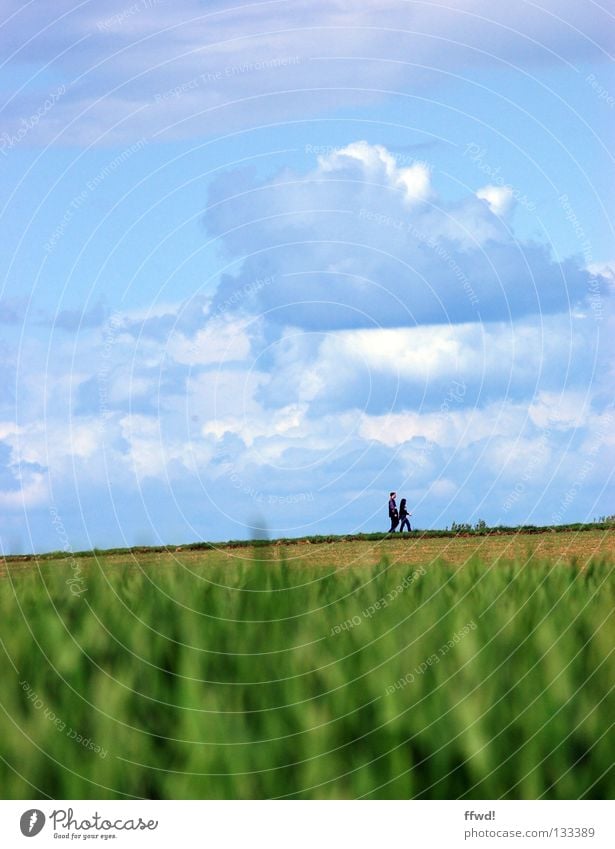 sunday walk Sunday Public Holiday To go for a walk Going Hiking Pedestrian Human being Meadow Field Clouds Miniature Loneliness Remote Spring Watercolors Nature