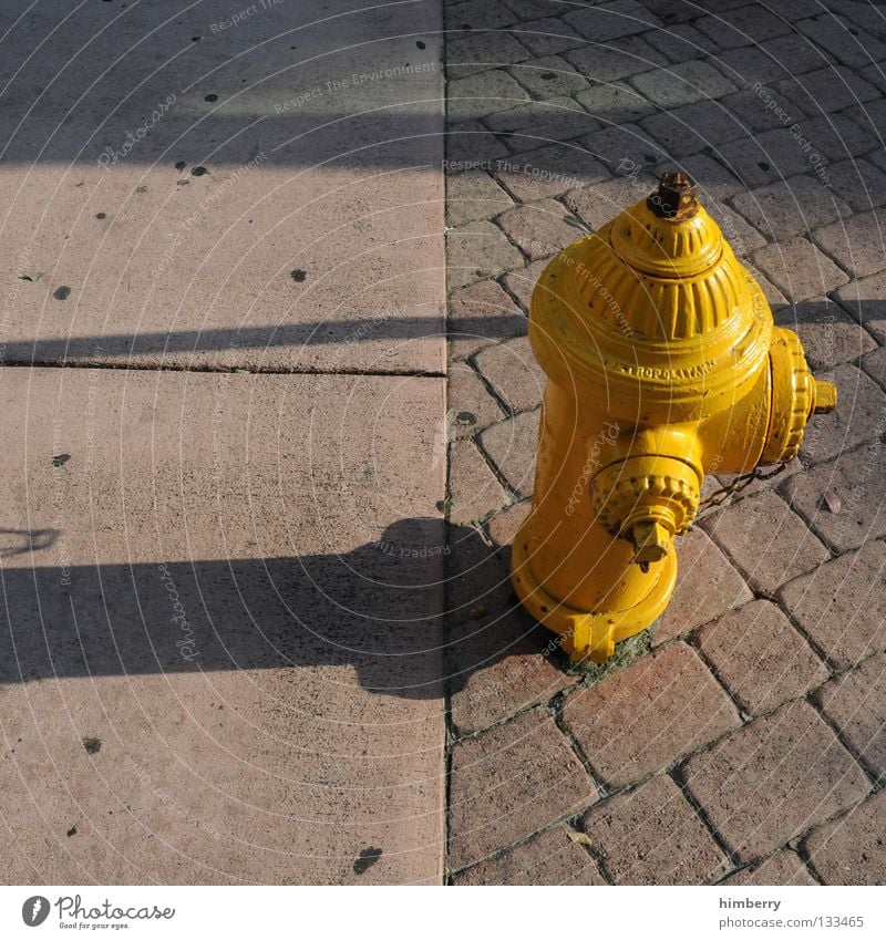 water on demand Fire hydrant Water Blaze Erase Street Sidewalk Curbside Cobblestones Paving stone Fire engine Fire department Connection Emergency Watering Hole