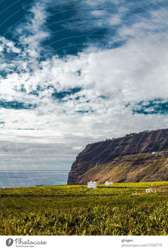 La Palma - rock in the surf Environment Nature Landscape Earth Water Sky Clouds Horizon Spring Beautiful weather Warmth Plant Foliage plant Agricultural crop