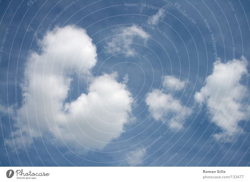 Heart Cloud Summer Valentine's Day Sky Clouds Blue White Joy Happy cloud Colour photo Exterior shot