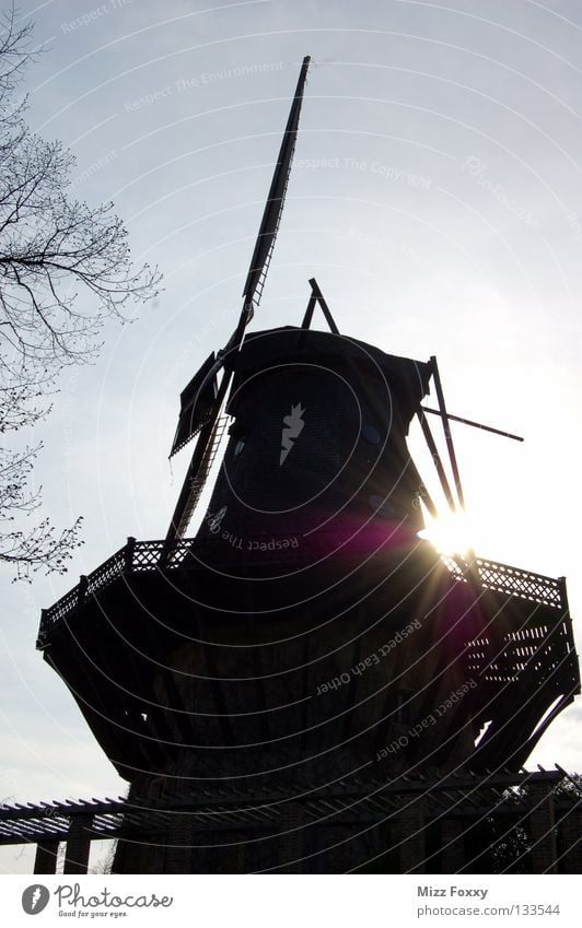 windmill Windmill Twilight Flour Mince Potsdam Brandenburg Germany Historic Evening Sun Wing Shadow Contrast Sky Chateau Sanssouci