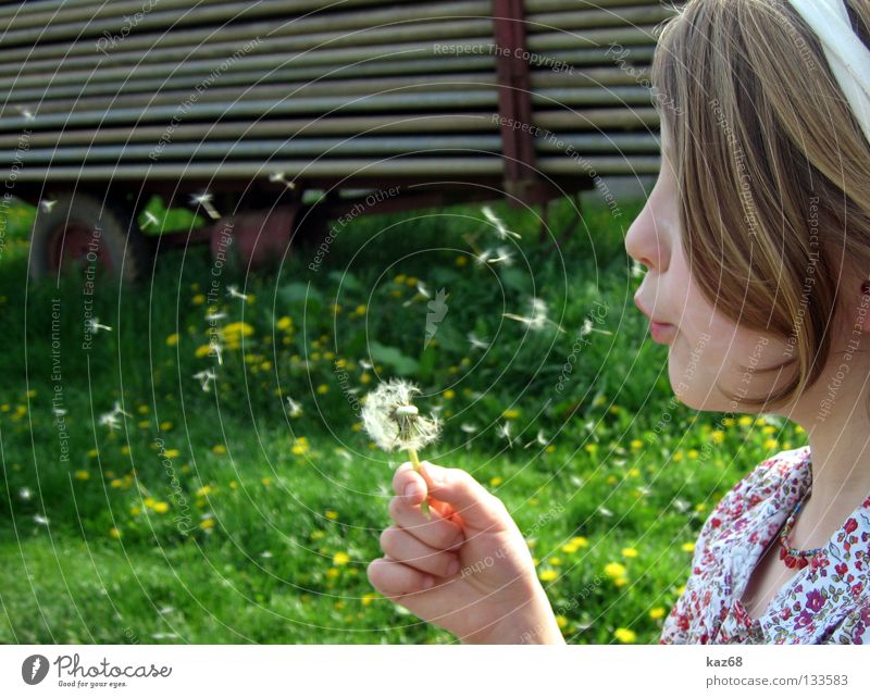 nature child Soap bubble Round Blow Happiness Multicoloured Air Black Whim Background picture Wood Playing Action Girl Blonde Youth (Young adults) Child