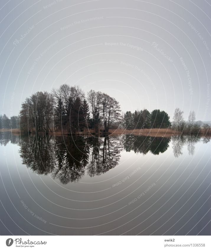 reflex Environment Nature Landscape Plant Water Sky Horizon Beautiful weather Tree Island Pond Lake Fantastic Natural Idyll Far-off places Calm Peaceful