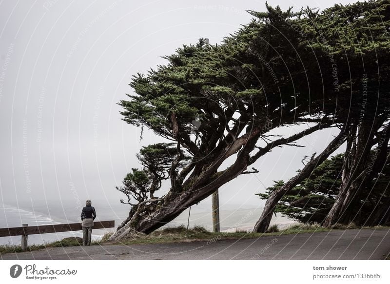 Ocean View Human being Feminine Young woman Youth (Young adults) Woman Adults 1 30 - 45 years Nature Landscape Air Water Sky Autumn Weather Fog Tree Wild plant