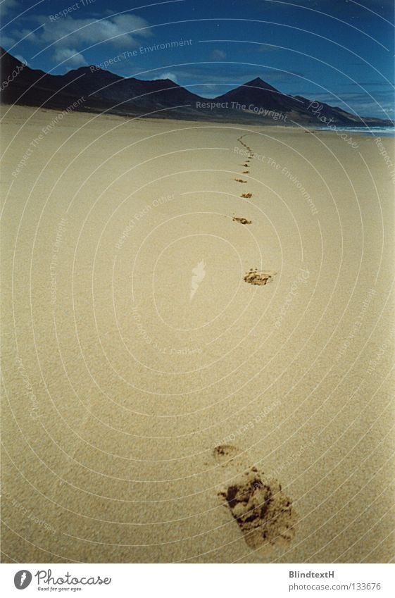 sandpiper Beach Vacation & Travel Loneliness Footprint Far-off places Infinity Stranded Beige Clouds Coast Earth Sand Summer Mountain Sky Tracks Walking