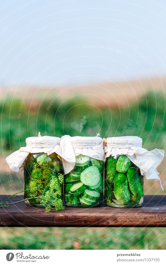 Pickled cucumbers made of home garden vegetables and herbs Food Vegetable Herbs and spices Organic produce Garden Summer Fresh Natural Green Basket Copy Space