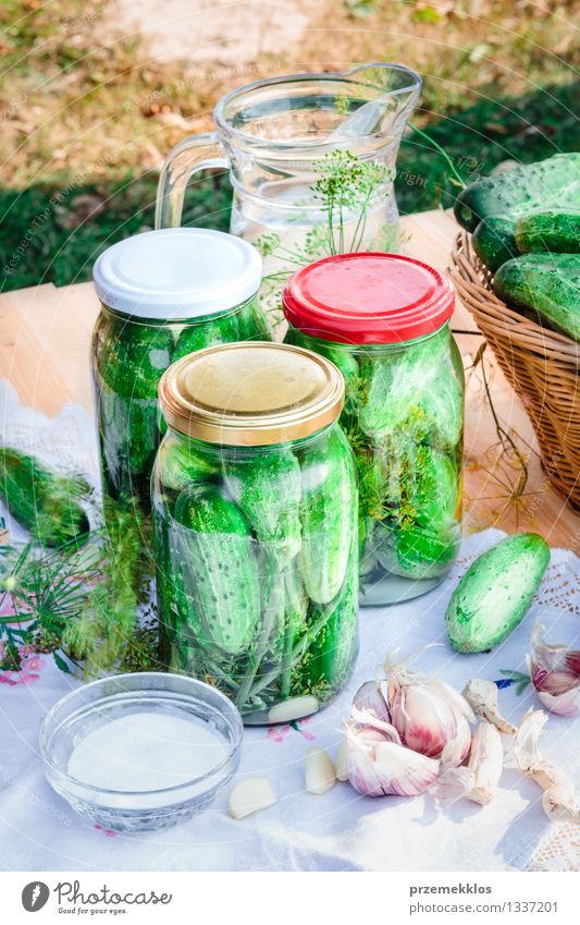 Pickled cucumbers made of home garden vegetables and herbs Vegetable Herbs and spices Organic produce Garden Summer Fresh Natural Green Basket Dill food Garlic