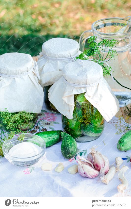 Pickled cucumbers made of home garden vegetables and herbs Food Vegetable Herbs and spices Organic produce Garden Summer Fresh Natural Green Basket Dill Garlic