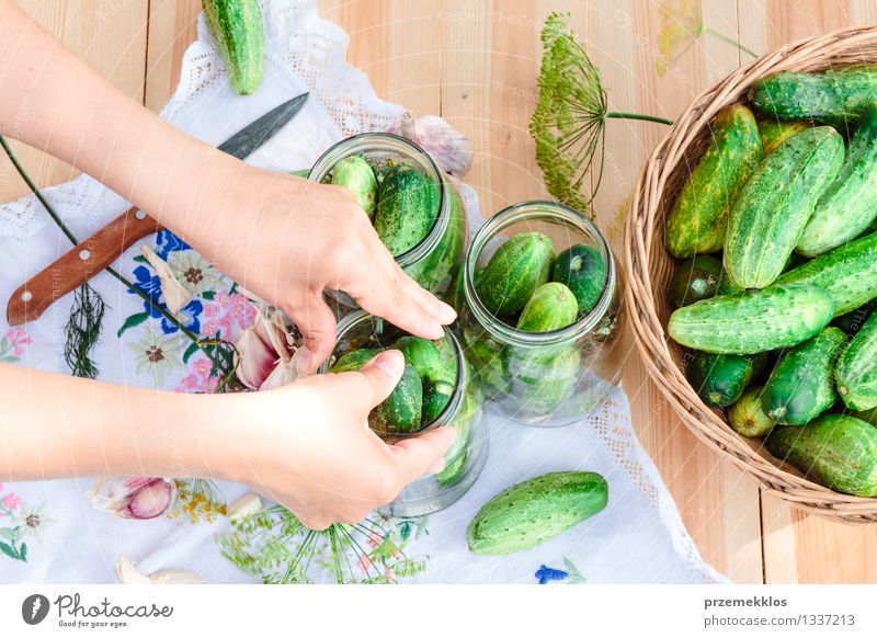 Pickling cucumbers with home garden vegetables and herbs Vegetable Herbs and spices Organic produce Garden Woman Adults Hand Summer Fresh Natural Green Basket