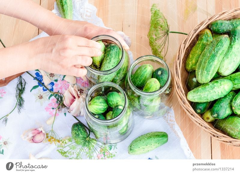 Pickling cucumbers with home garden vegetables and herbs Vegetable Herbs and spices Organic produce Garden Woman Adults Hand Summer Fresh Natural Green Basket