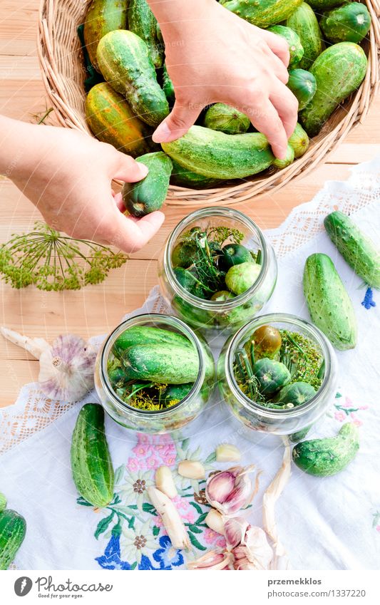 Pickling cucumbers with home garden vegetables and herbs Vegetable Herbs and spices Organic produce Garden Woman Adults Hand Summer Fresh Natural Green Basket