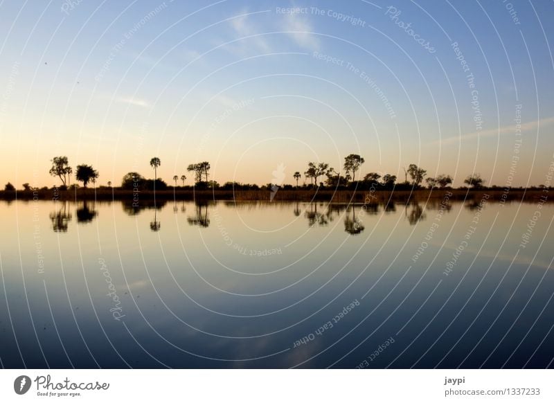 symmetry Nature Landscape Water Sky Clouds Horizon Sunrise Sunset Tree Bushes River bank Okavango Delta Palm tree Symmetry Mirror image Exterior shot Deserted