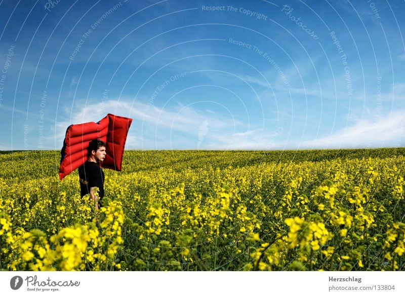 Towards the summer Summer Canola field Open-air swimming pool Yellow Red Physics Hot Woman Sunlight Contentment Air mattress Colour Blue Sky Warmth Joy Happy