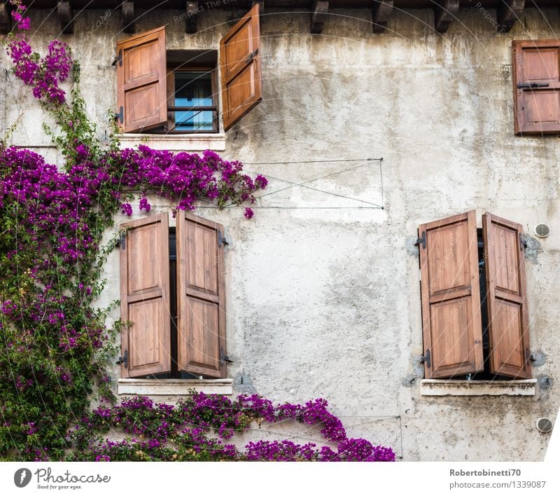 Windows colorful ancient apartment architecture balconies balcony beautiful building city decorated decoration design europe european exterior facade floral