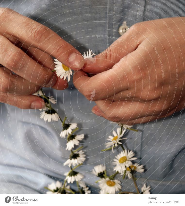 Welcome to Cape Kumukahi Wreath Flower necklace Flower wreath Jewellery Daisy Florist Bond Connectedness Hawaii Bouquet Transience Delicate Fragile