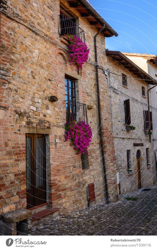 Balcony flowers colorful aged ancient apartment architecture balconies balcony beautiful building city decorated decoration design europe european exterior