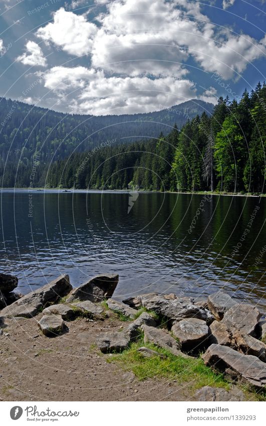 Mountain-lake-sky contrasts Arbersee Vacation & Travel Tourism Trip Summer vacation Bavarian Forest Cycling Hiking Nature Landscape Water Sky Spring Rock Lake