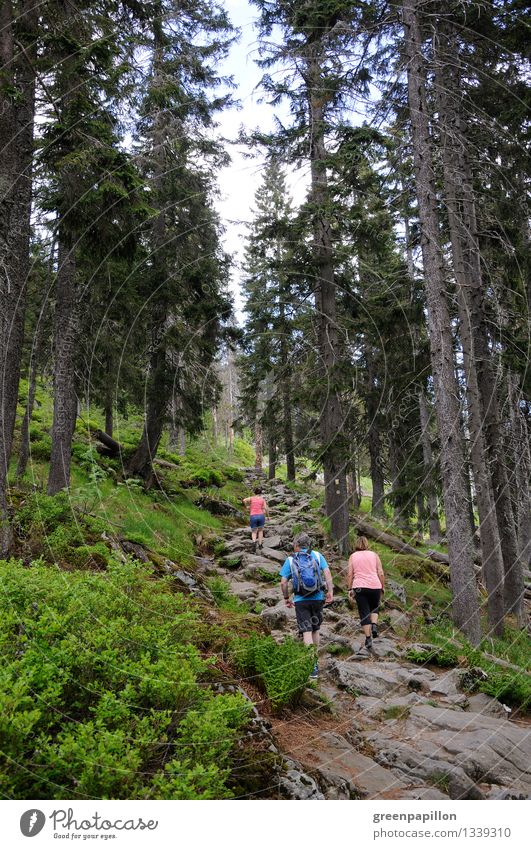 Hiking is... Leisure and hobbies Hiking trip Class outing Hiking group Vacation & Travel Tourism Trip Freedom Mountain Mountaineering Human being Young woman