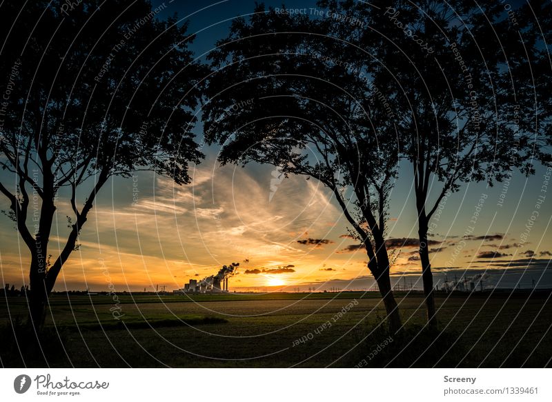 Industrial suburban romanticism Energy industry Coal power station Landscape Plant Sky Clouds Horizon Sun Sunrise Sunset Sunlight Summer Beautiful weather Tree