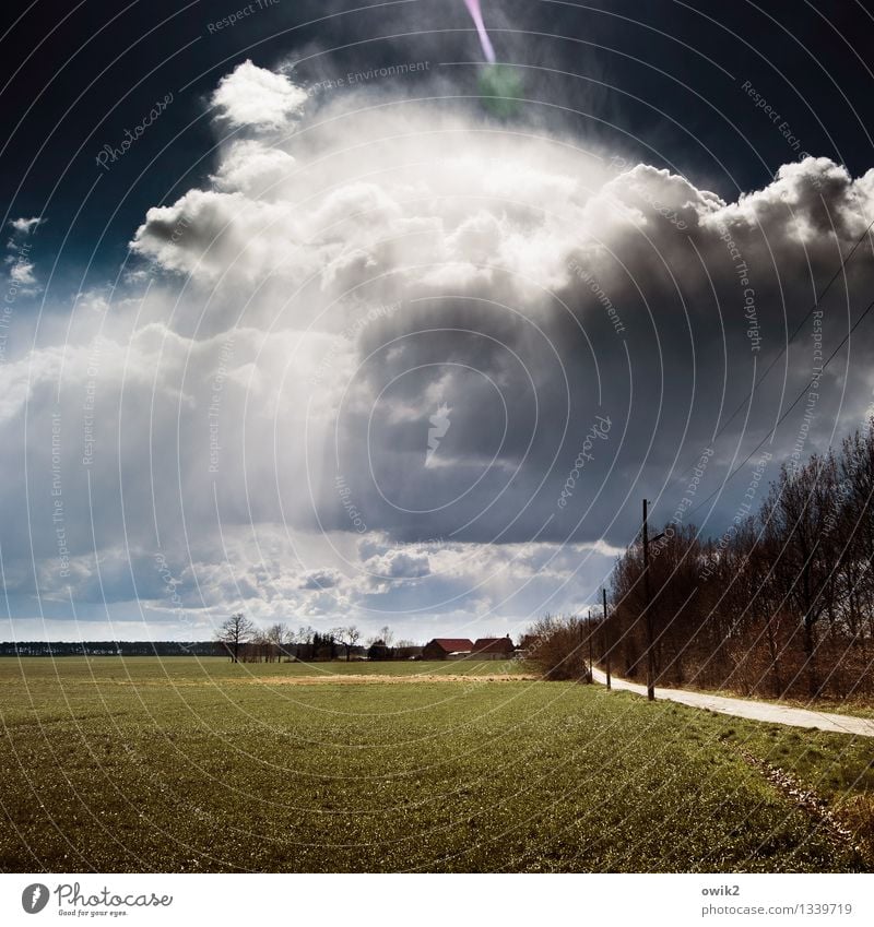 Somewhere in Brandenburg Environment Nature Landscape Plant Sky Clouds Horizon Beautiful weather Tree Grass Field Teltow-Fläming district Germany Lanes & trails