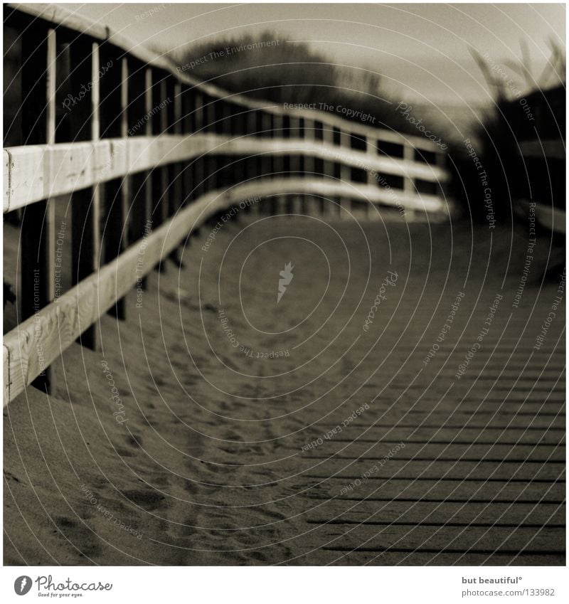 grey way to beach° Beach Ocean Summer Spain Footprint Black & white photo Coast Sand Warm sand Woodway