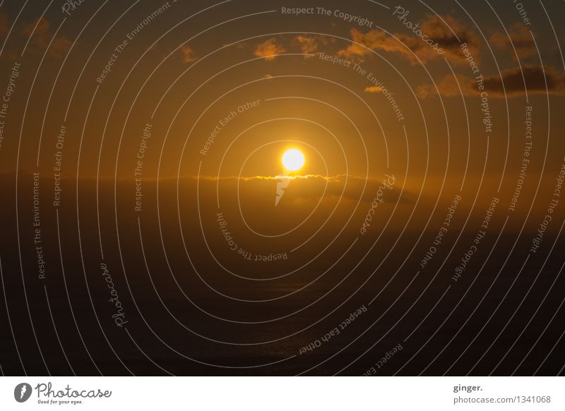 sunrise Environment Sky Clouds Horizon Sun Sunrise Sunset Sunlight Spring Climate Weather Beautiful weather Ocean La Palma Tenerife Canaries Warmth Brown Yellow