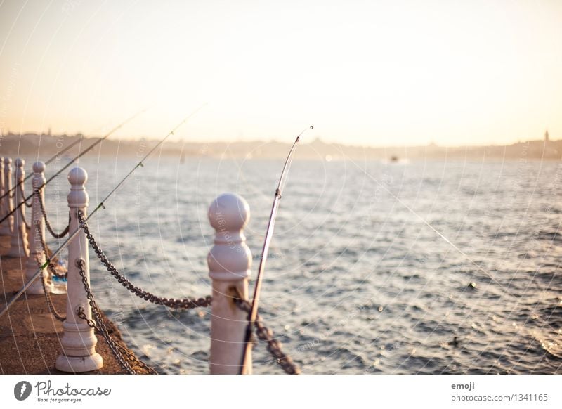 evening sun Environment Nature Summer Beautiful weather Waves Coast Ocean Maritime Yellow Gold Fishing rod Istanbul Colour photo Exterior shot Deserted Evening