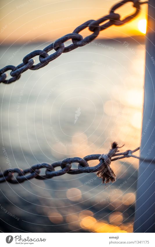 Istanbul Nature Water Sun Sunrise Sunset Summer Beautiful weather Maritime Chain Colour photo Exterior shot Close-up Deserted Twilight Sunlight Sunbeam