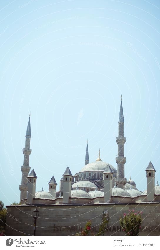 mosque Town Capital city Downtown Tourist Attraction Landmark Monument Exceptional Blue Mosque Istanbul Colour photo Exterior shot Deserted Copy Space top