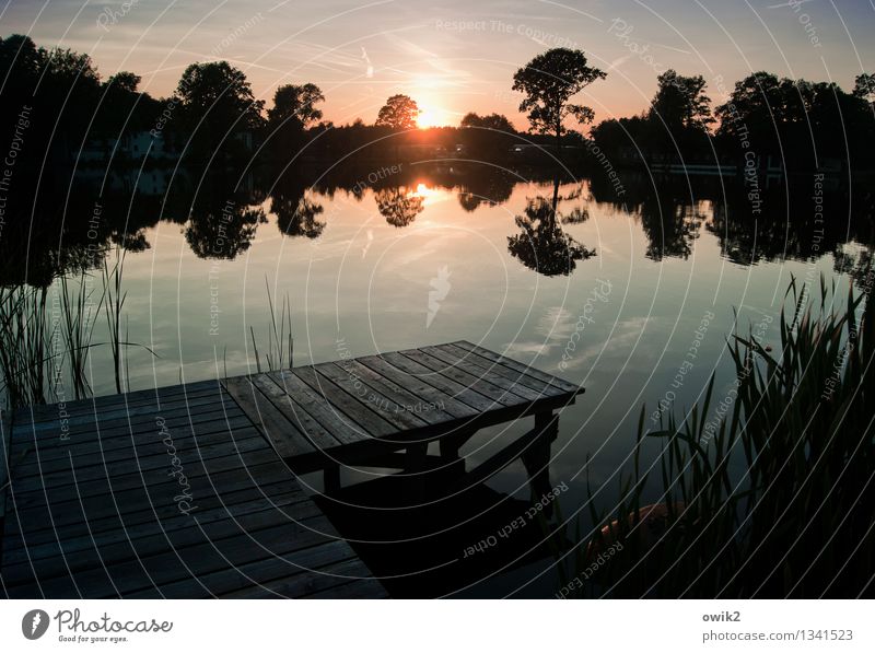 early evening programme Environment Nature Landscape Water Sky Horizon Climate Beautiful weather Tree Grass Wild plant Reeds Jetty Footbridge Wood Illuminate